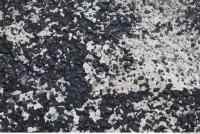 Photo Texture of Asphalt Painted 0002